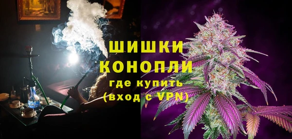 прущие грибы Аркадак