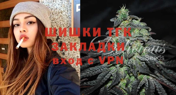 прущие грибы Аркадак